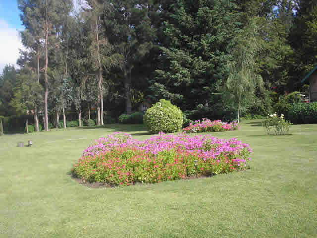 Documento sin título